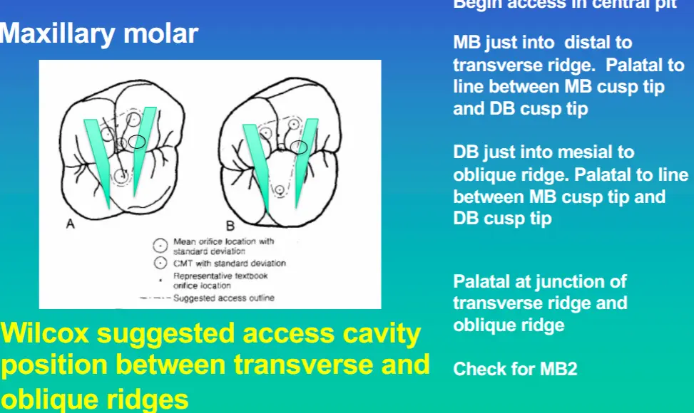 Access for Root Canal Treatment-1764841471305.webp531x317