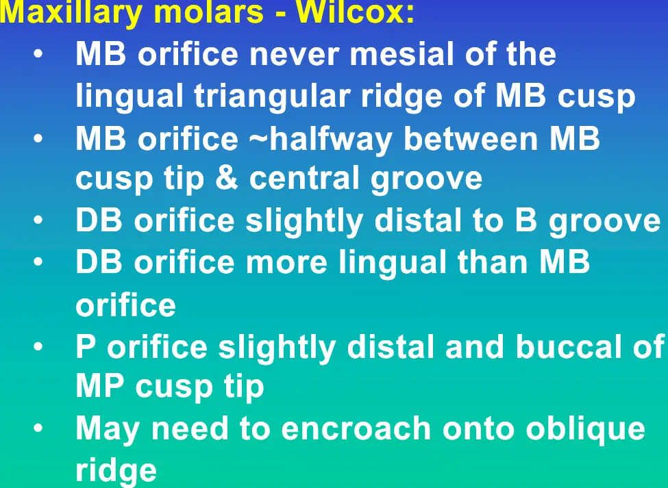 Access for Root Canal Treatment-1764841487806.webp538x393