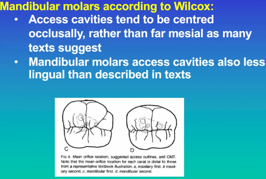 Access for Root Canal Treatment-1764841851825.webp