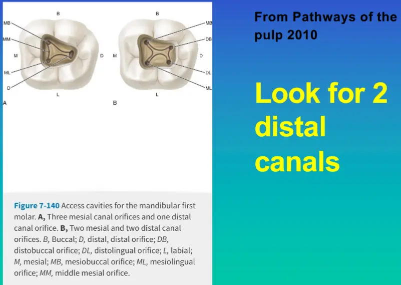 Access for Root Canal Treatment-1764841884558.webp586x416