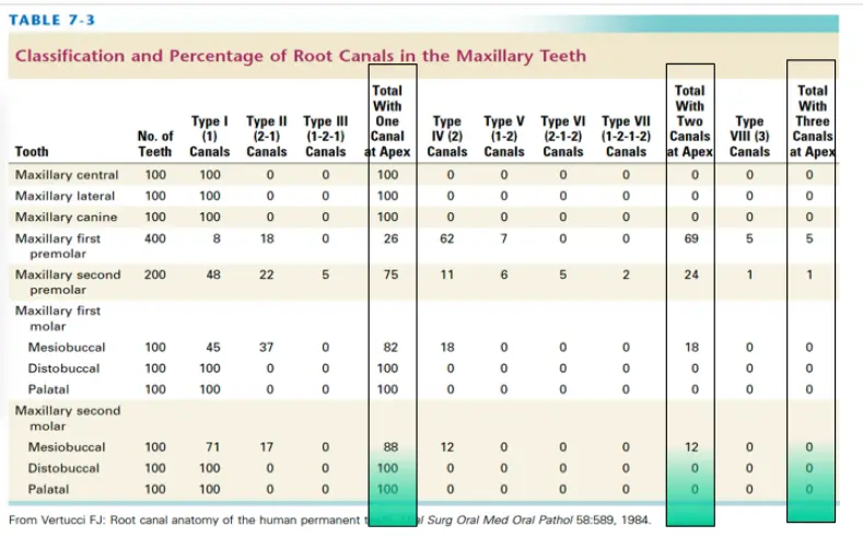 Access for Root Canal Treatment-1764842276511.webp
