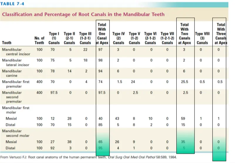 Access for Root Canal Treatment-1764842285152.webp