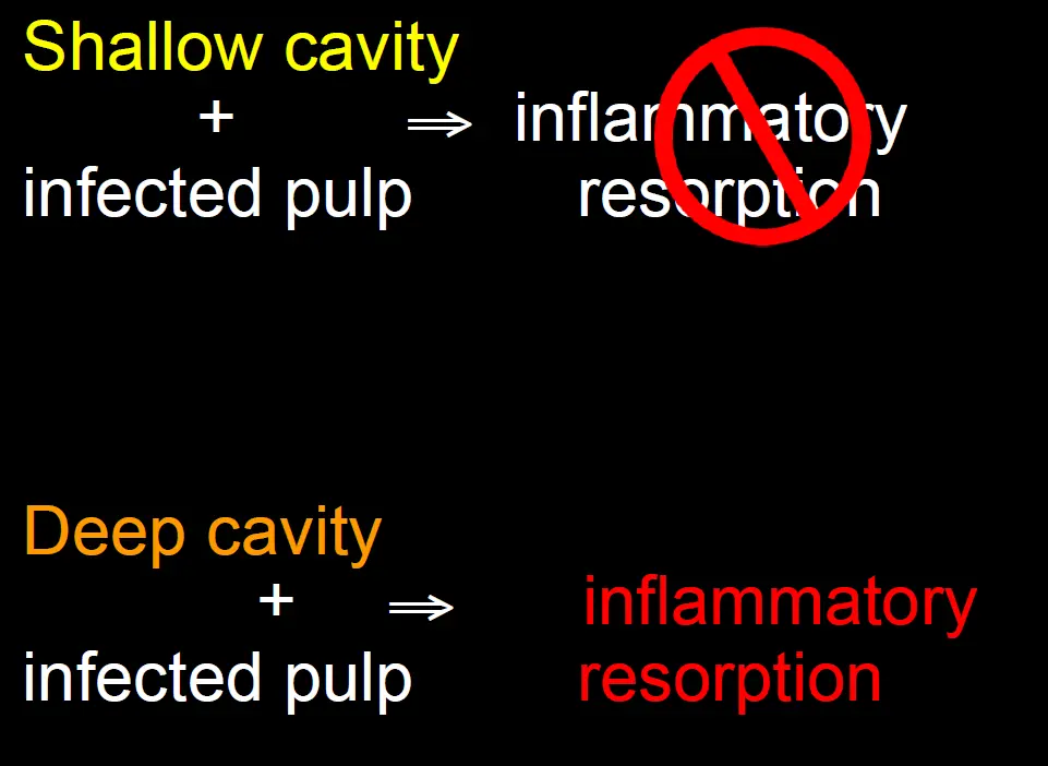 Dentoalveolar Trauma 1-1765269911279.webp544x397