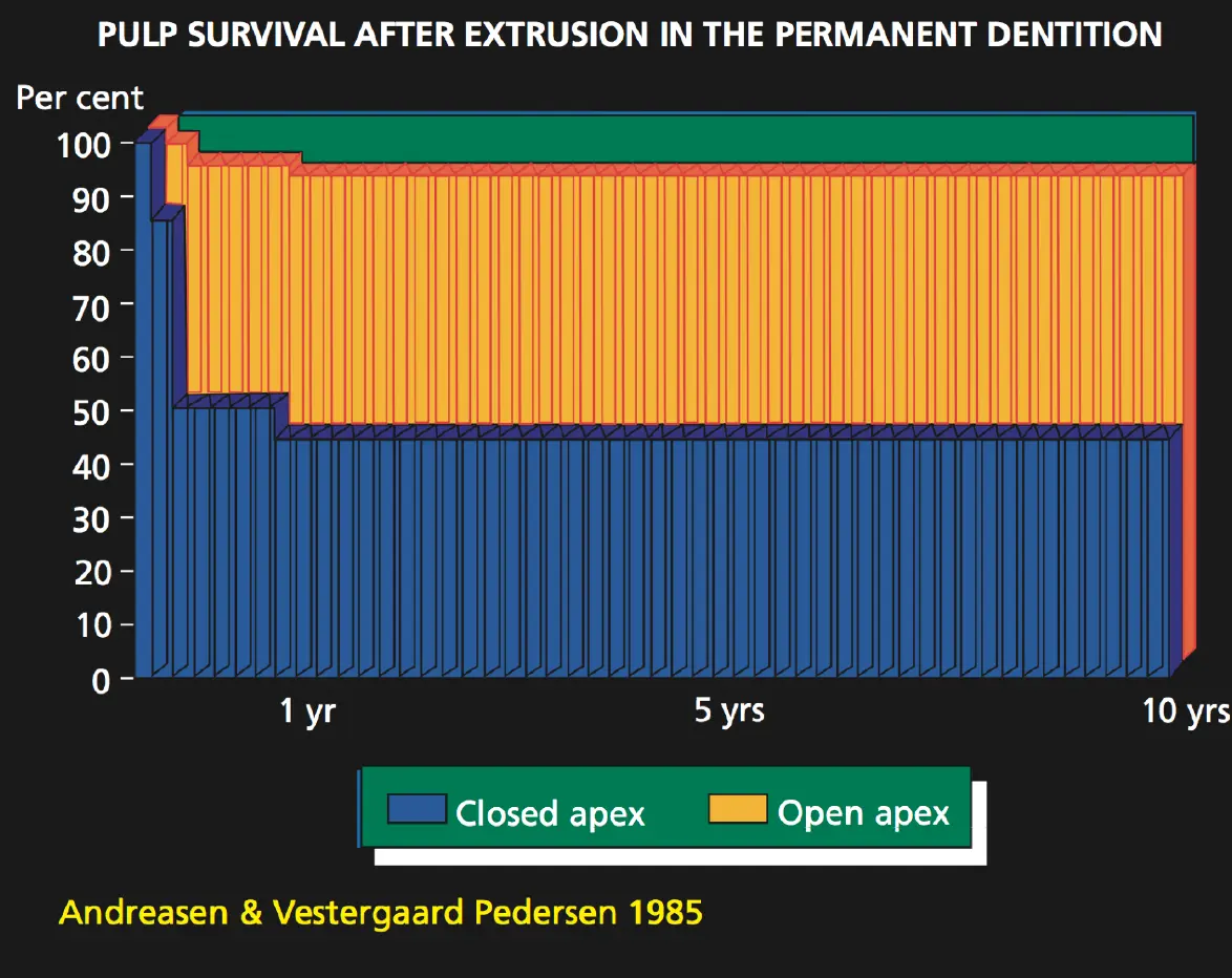 Dentoalveolar Trauma 1-1765347160669.webp578x459