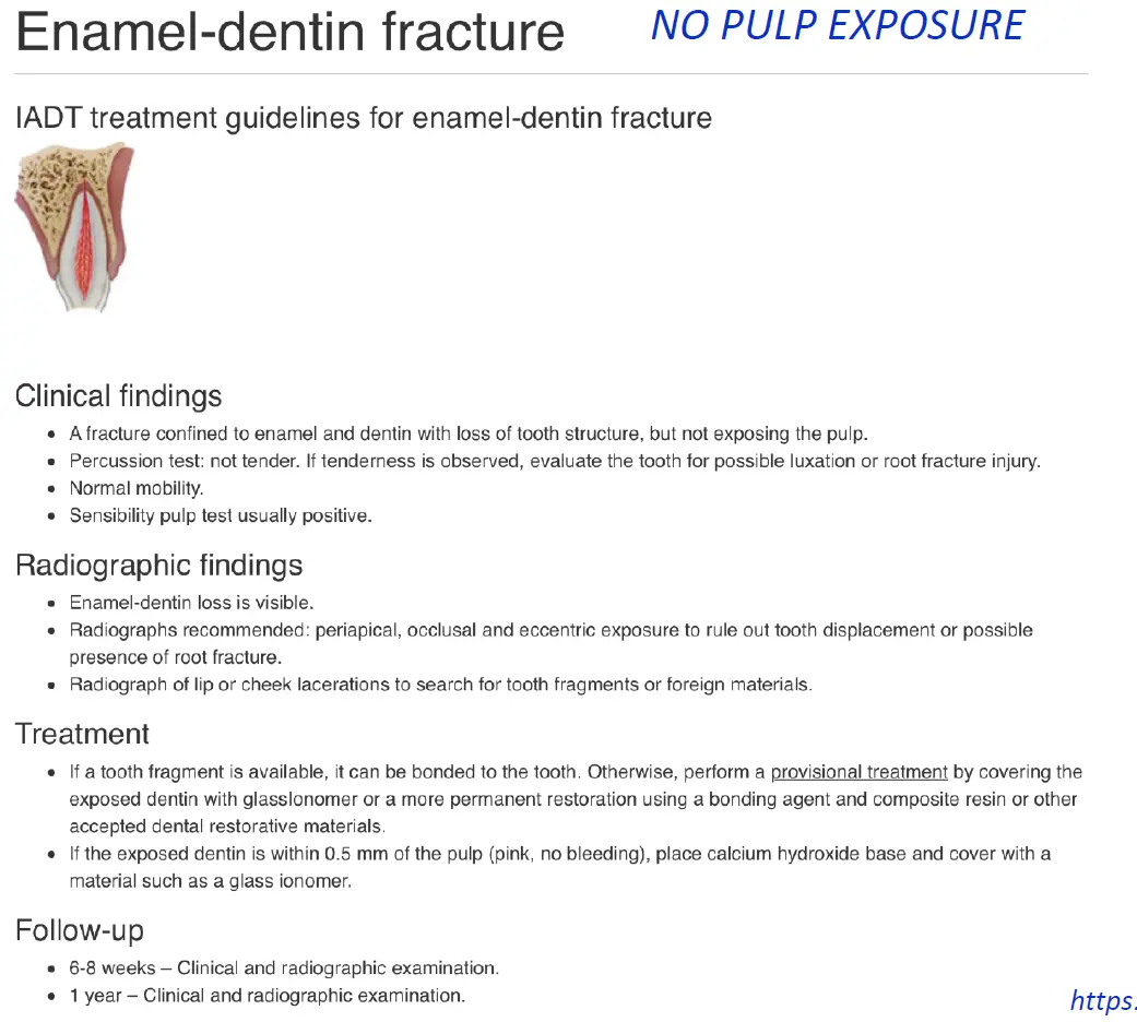 Dentoalveolar Trauma-1765350108597.webp