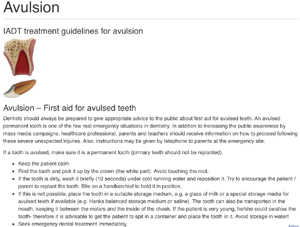 Dentoalveolar Trauma-1765352221632.webp
