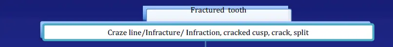 Diagnosis and Management of Cracked & Fractured Teeth-1765433657520.webp