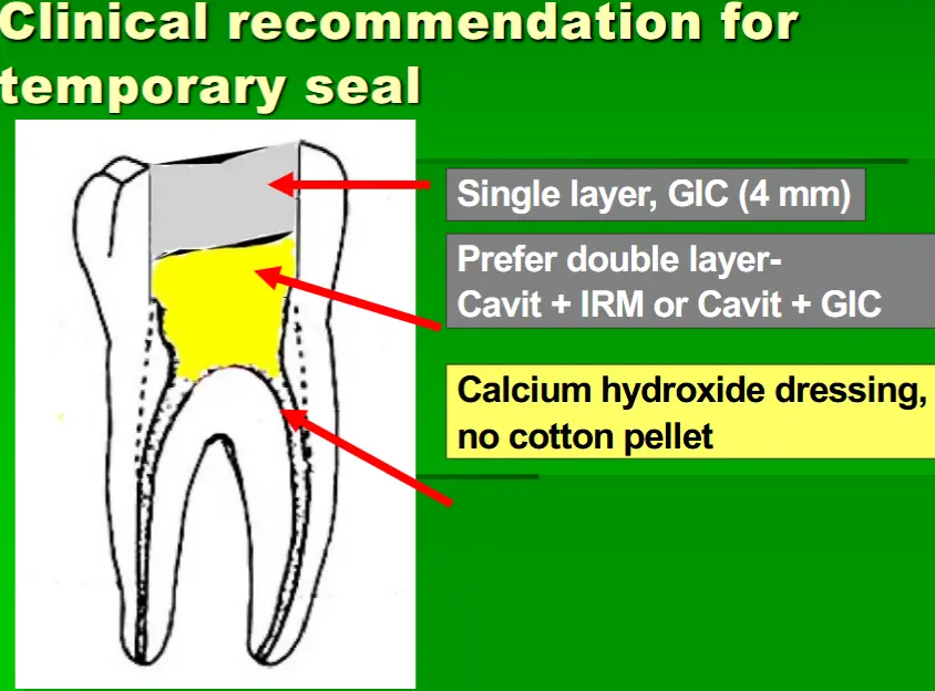 Endodontic Armamentarium-1764839063545.webp