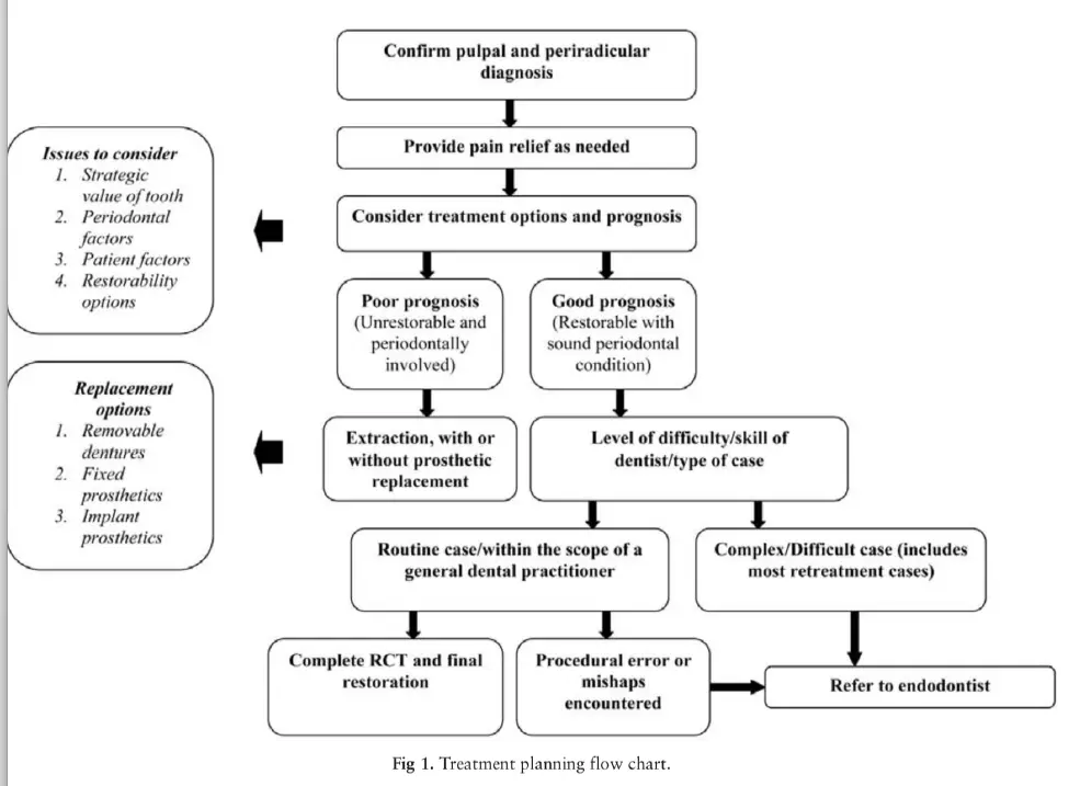 Endodontic Case Selection and Treatment Planning-1764922502196.webp