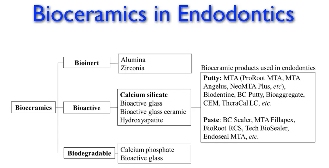 Endodontic Management of Immature Teeth-1765464162333.webp