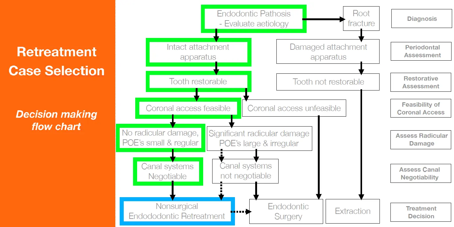 Endodontic Retreatment Case Selection & Procedures-1765438335504.webp