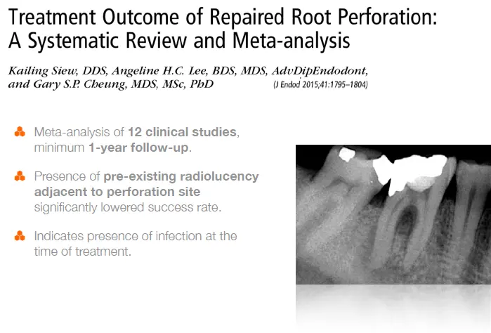 Endodontic procedural errors and their management-1765108638284.webp569x386