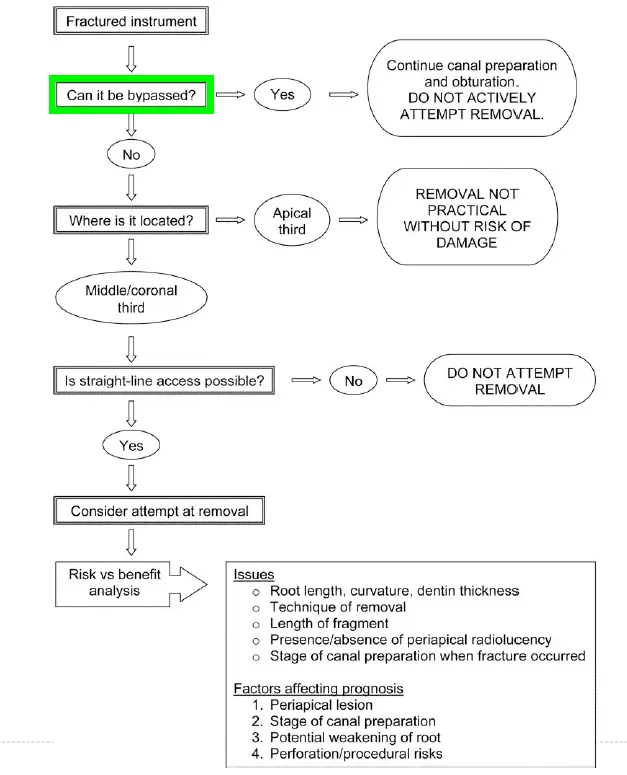 Endodontic procedural errors and their management-1765155298171.webp424x524