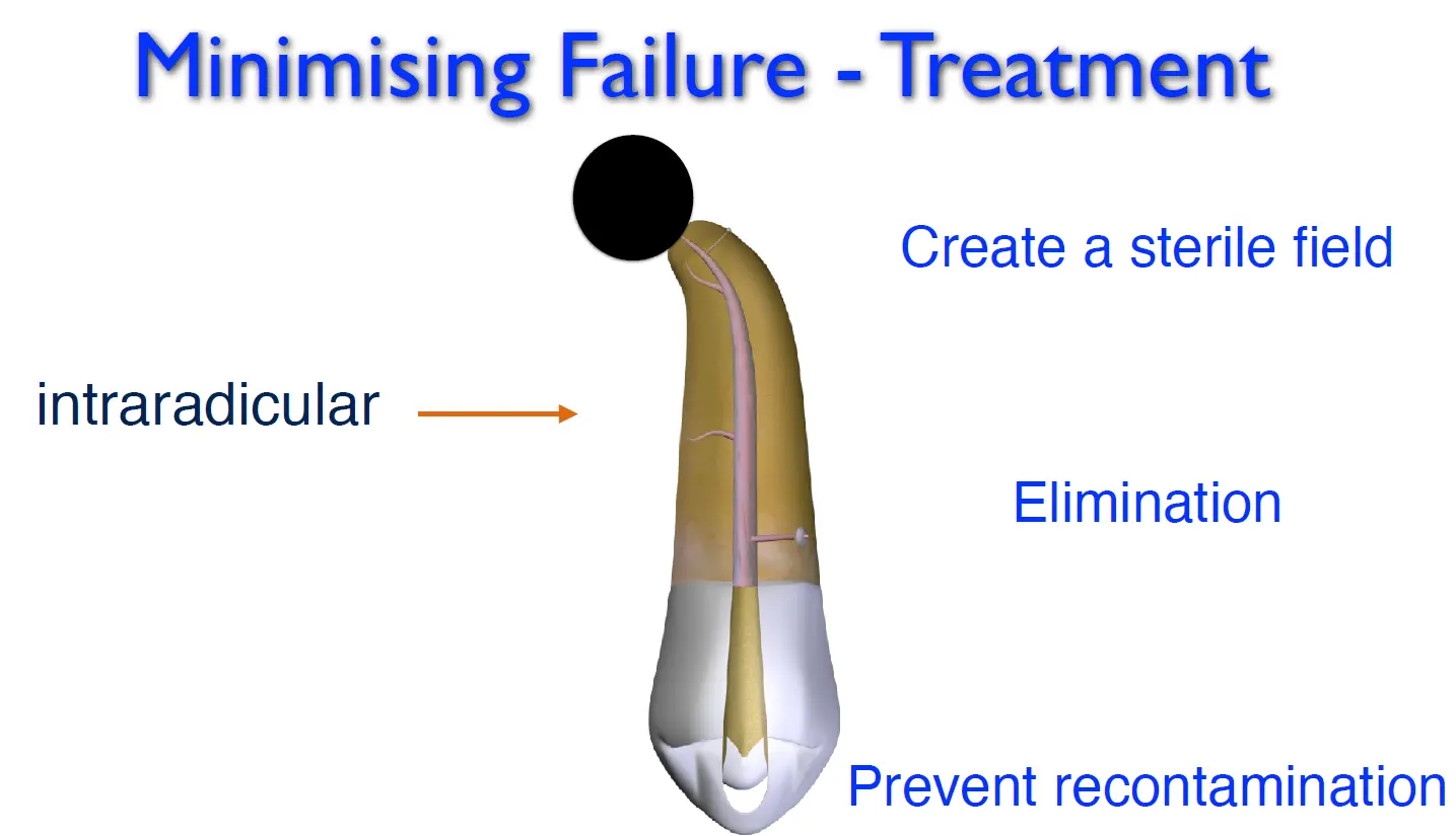 Infection Control in Endodontics (Aseptic Technique)-1765466402178.webp