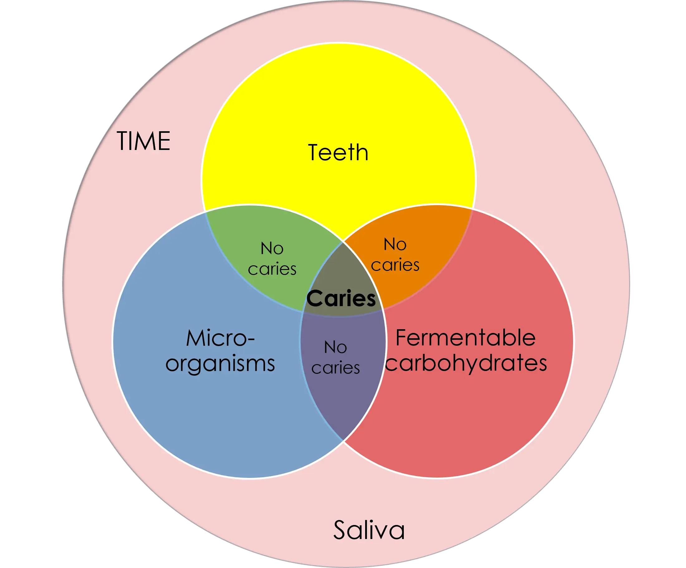 MODULE 4-1770345719464.webp500x414