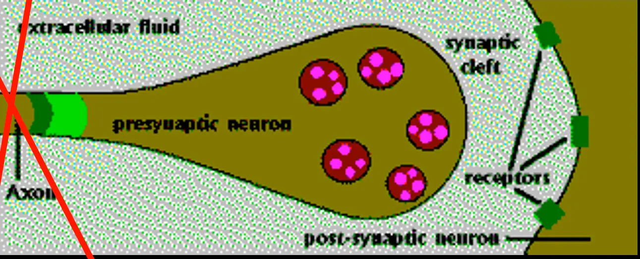 MODULE 7-1770509307541.webp