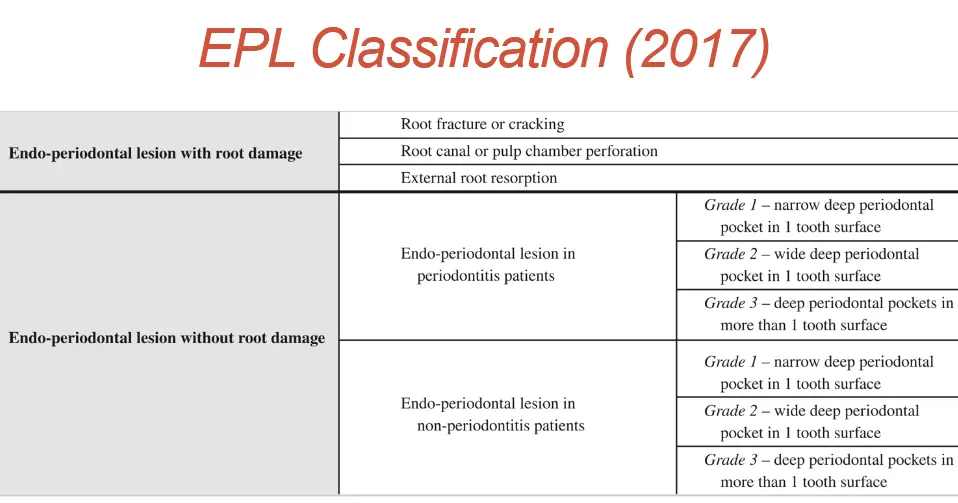 Module 2-1783072983118.webp