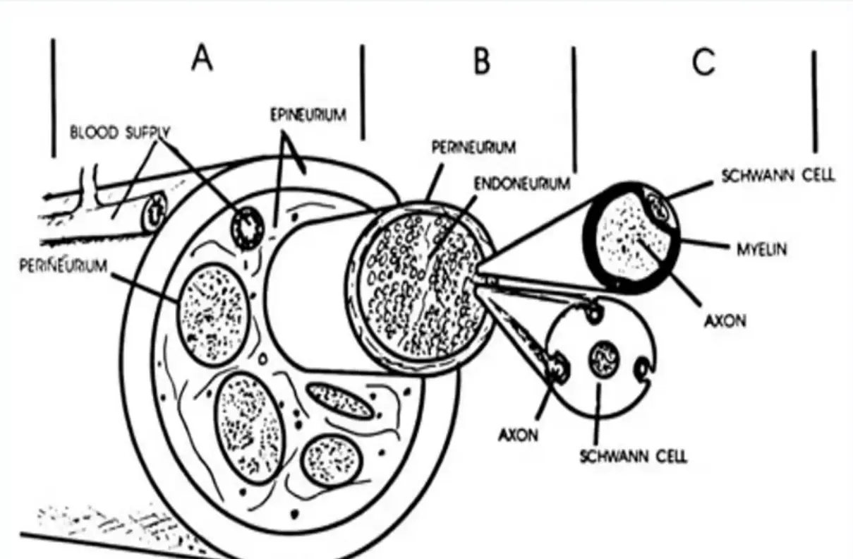 Module 6-1783775061510.webp