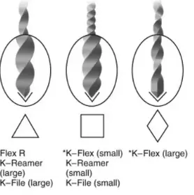 Root canal mechanical instrumentation 1, working length, glide path, hand instrumentation methods (step-back, modified crown-down)-1764891141626.webp
