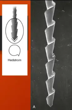 Root canal mechanical instrumentation 1, working length, glide path, hand instrumentation methods (step-back, modified crown-down)-1764891215021.webp