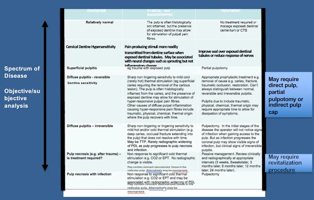 Vital Pulp Therapy-1765157397668.webp589x376