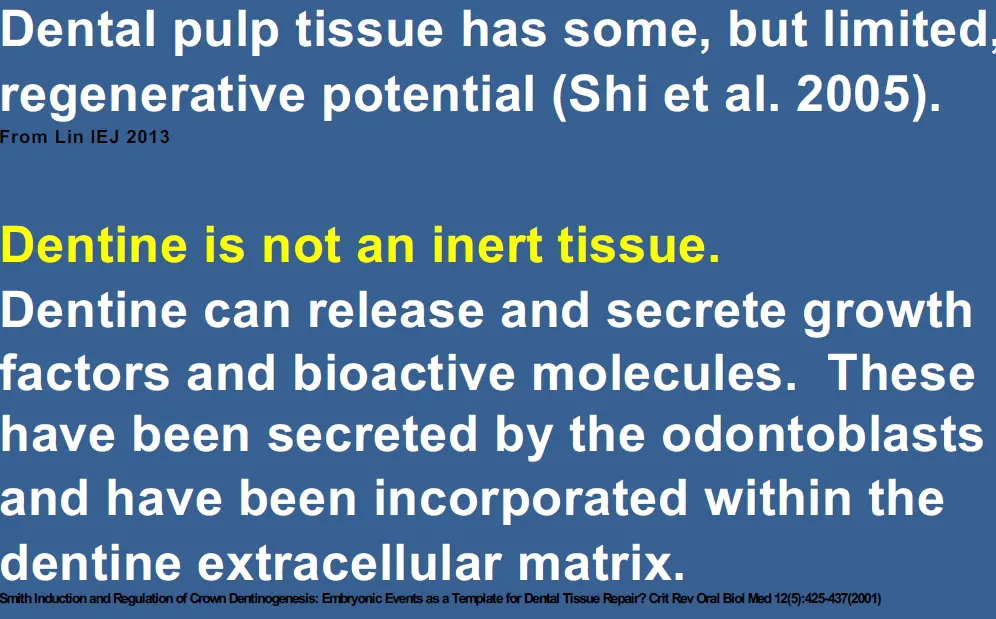 Vital Pulp Therapy-1765165624859.webp645x401