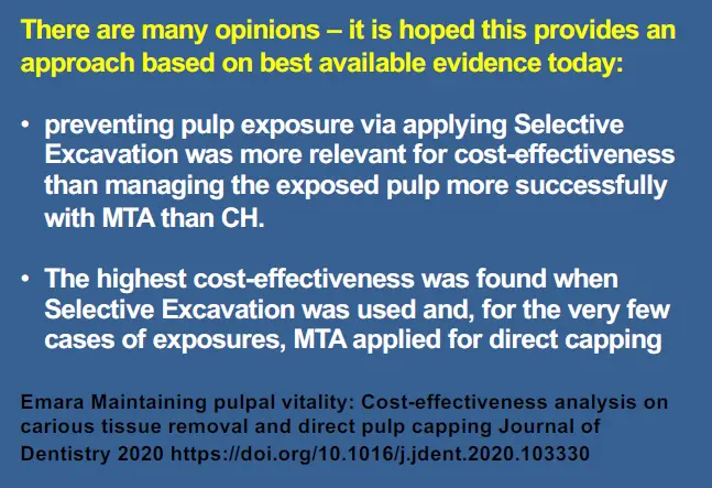 Vital Pulp Therapy-1765176865471.webp532x364